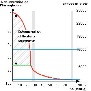Saturation de l'hémoglobine
